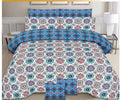 DBS-2703 Premium Comforter & Duvet Cover Set